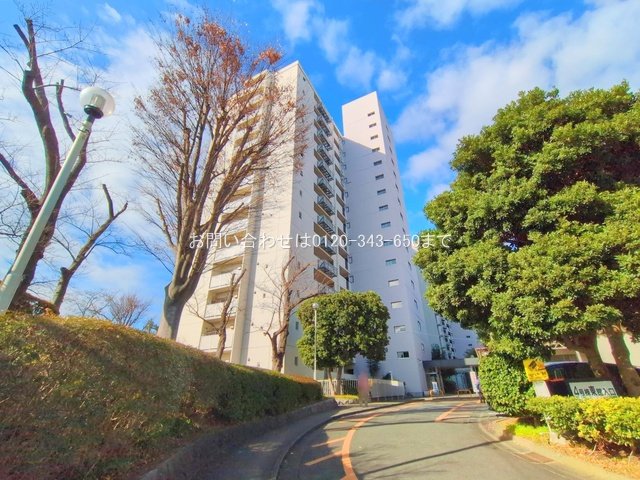 撮影日(2025-12-16 00:00:00)