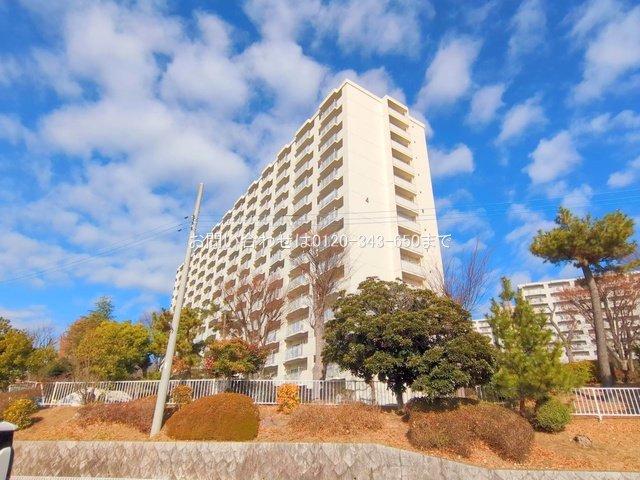 撮影日(2025-12-16 00:00:00)