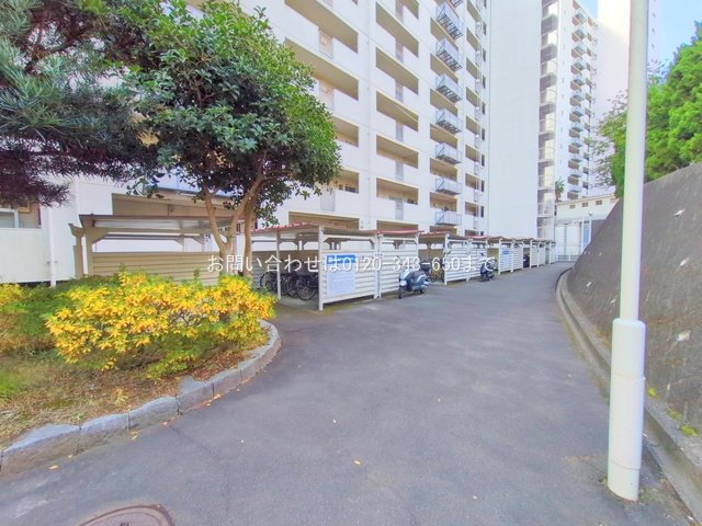 撮影日(2025-12-16 00:00:00)