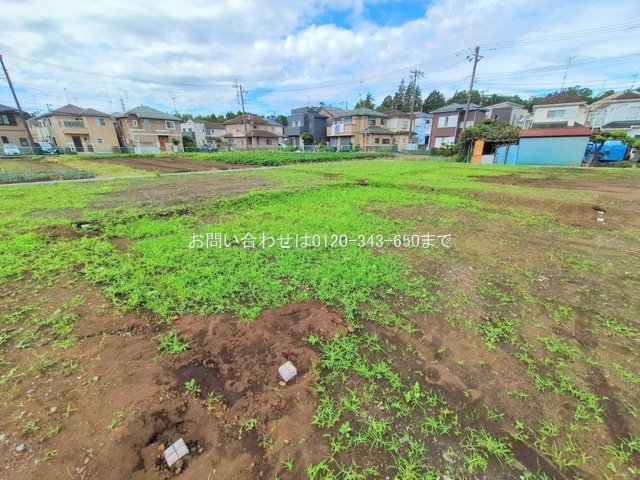 撮影日(2025-10-06 00:00:00)