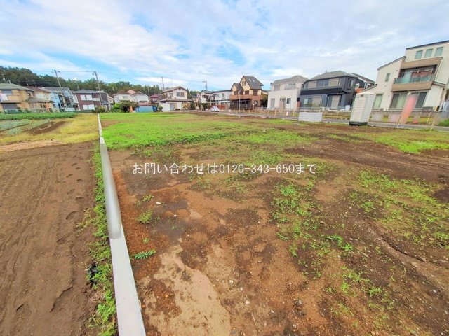 撮影日(2025-10-06 00:00:00)