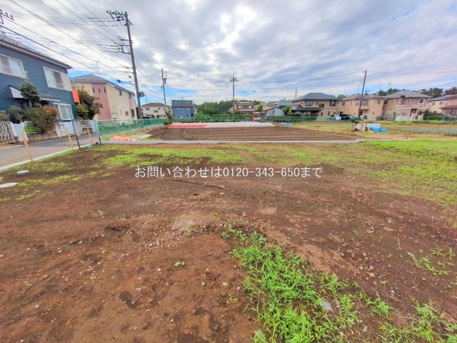 撮影日(2025-10-06 00:00:00)