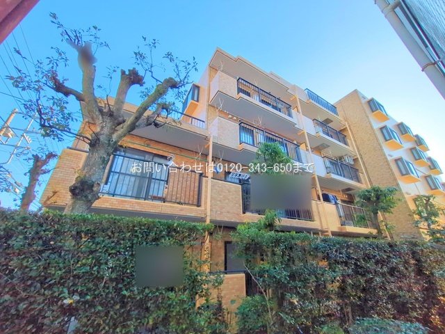 撮影日(2025-12-23 00:00:00)