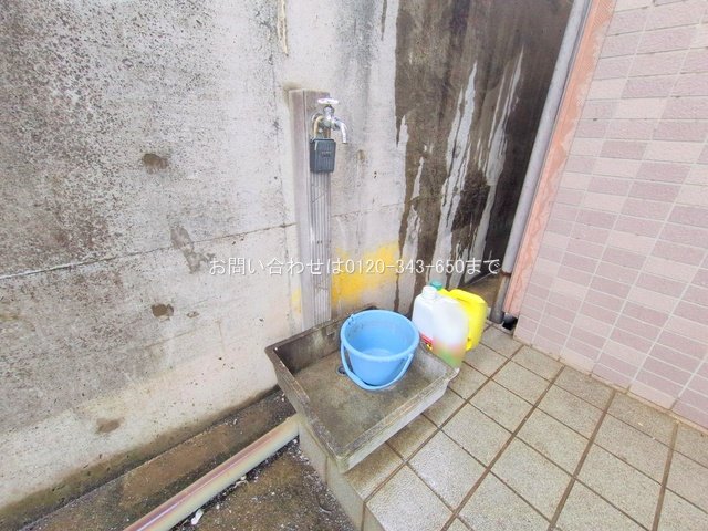 撮影日(2025-12-24 00:00:00)