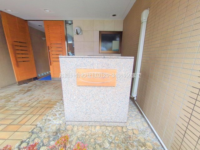 撮影日(2025-12-24 00:00:00)