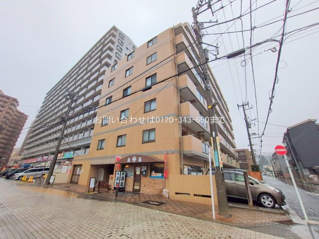 撮影日(2025-12-24 00:00:00)