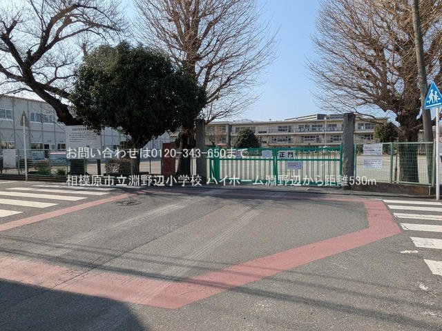 相模原市立淵野辺小学校 撮影日(2025-03-14) 530m