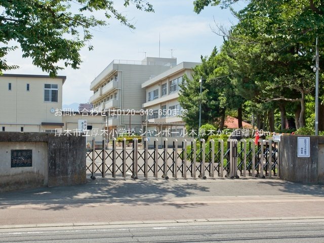 厚木市立厚木小学校 撮影日(2022-06-30) 730m