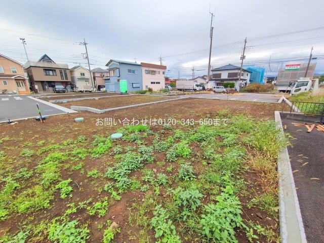 撮影日(2025-10-21 00:00:00)