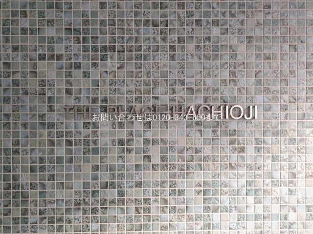 撮影日(2026-01-08 00:00:00)