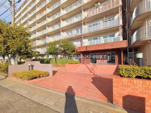 撮影日(2025-02-05 00:00:00)