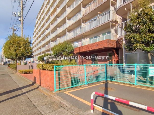 撮影日(2025-02-05 00:00:00)