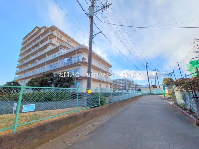 撮影日(2025-02-05 00:00:00)