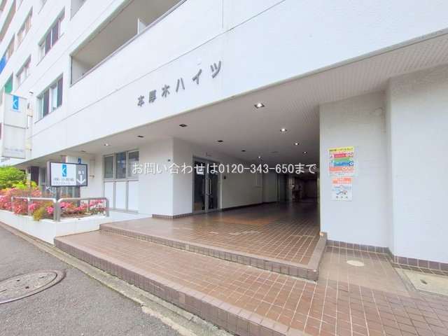 撮影日(2025-06-02 00:00:00)