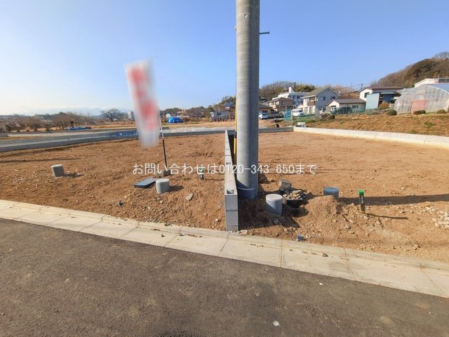 撮影日(2026-01-19 00:00:00)