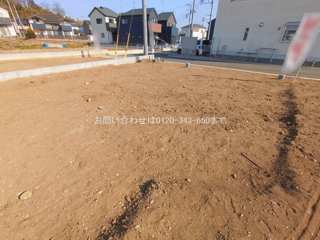 撮影日(2026-01-19 00:00:00)