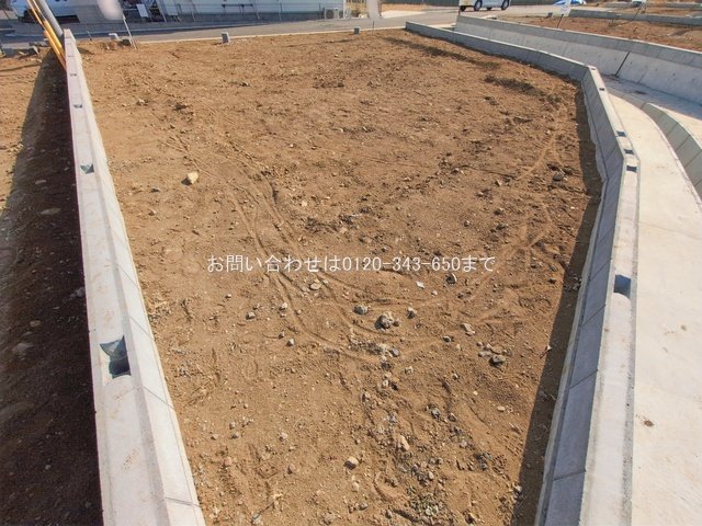 撮影日(2026-01-19 00:00:00)