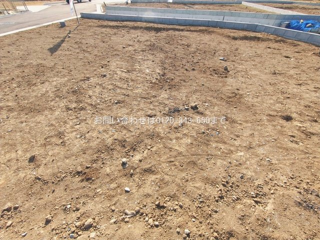 撮影日(2026-01-19 00:00:00)