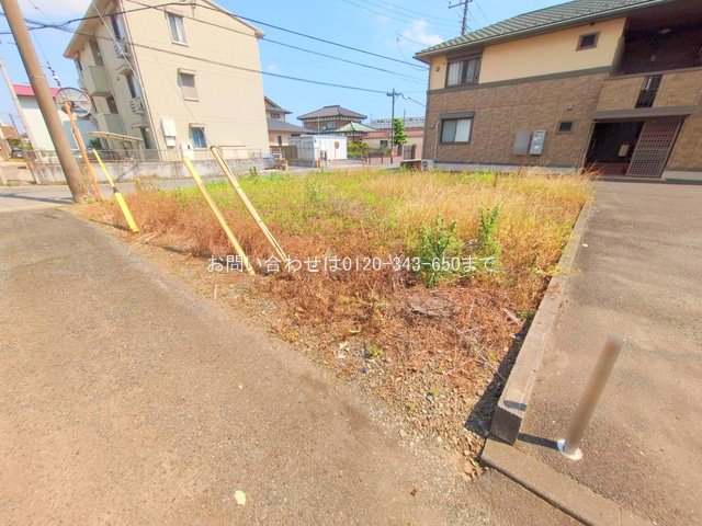 撮影日(2025-06-18 00:00:00)