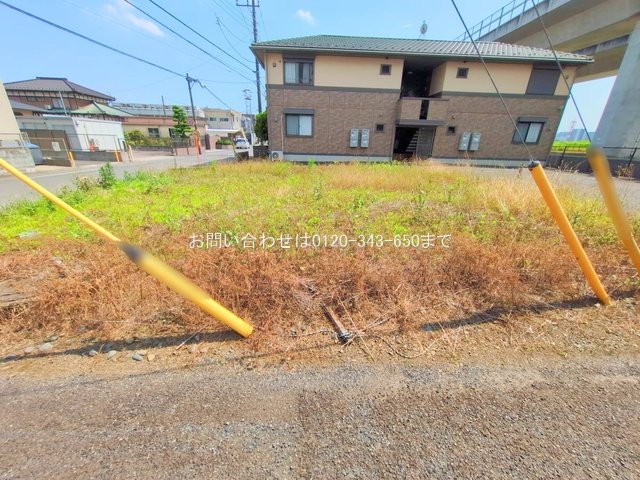 撮影日(2025-06-18 00:00:00)