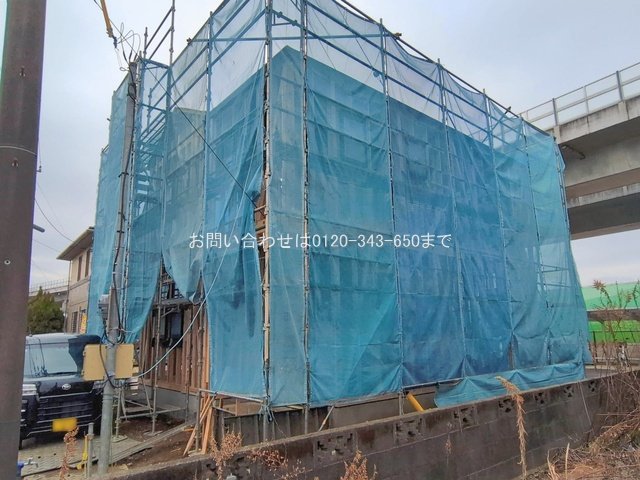 撮影日(2026-02-17 00:00:00)