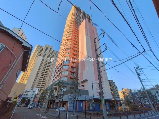 撮影日(2026-01-22 00:00:00)