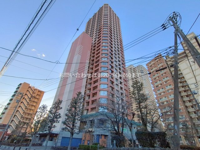 撮影日(2026-01-22 00:00:00)