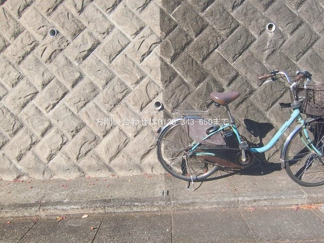 撮影日(2026-02-04 00:00:00)