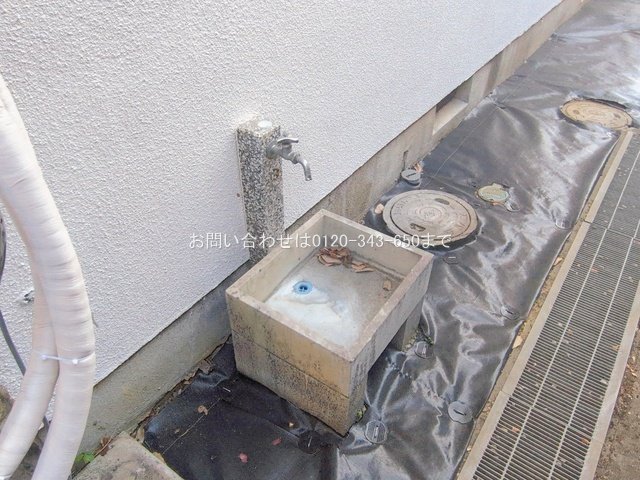 撮影日(2026-02-04 00:00:00)