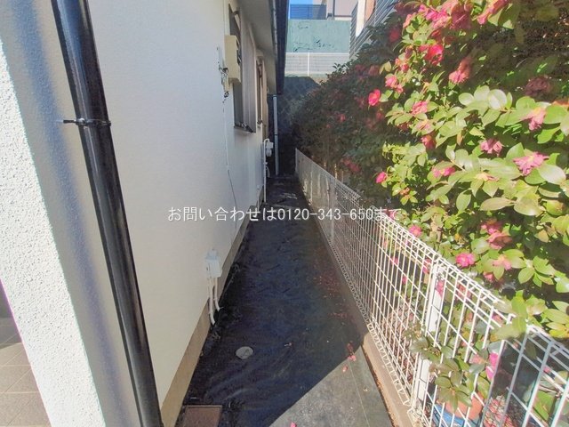 撮影日(2026-02-04 00:00:00)