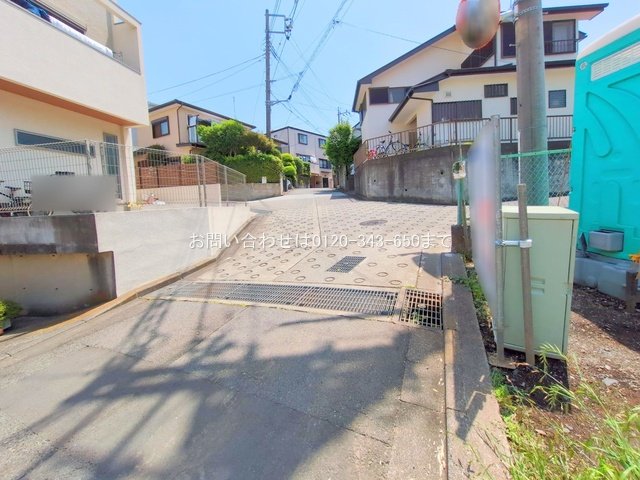 撮影日(2025-05-20 00:00:00)