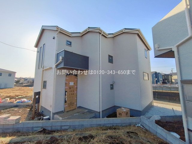 撮影日(2026-02-16 00:00:00)