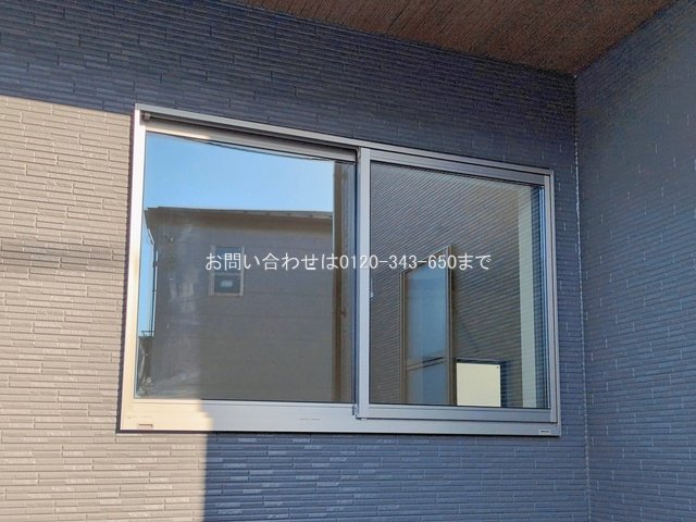 撮影日(2026-02-16 00:00:00)