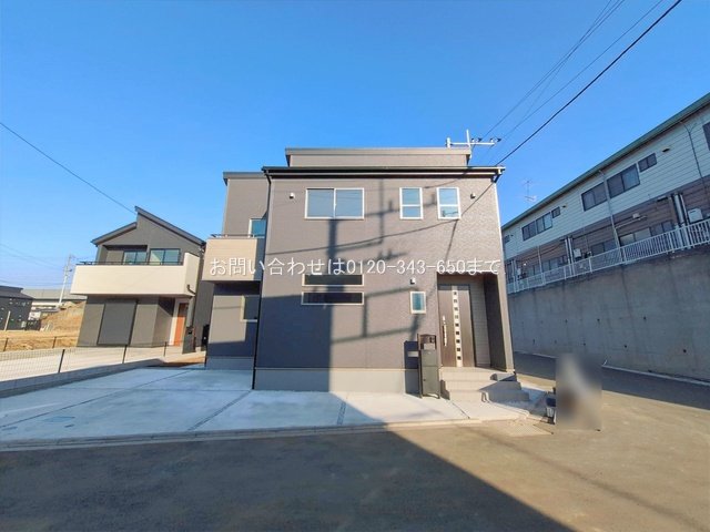 撮影日(2026-02-16 00:00:00)