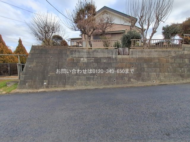 撮影日(2026-01-19 00:00:00)