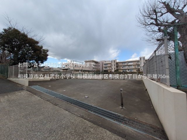 相模原市立相武台小学校 撮影日(2025-03-17) 750m