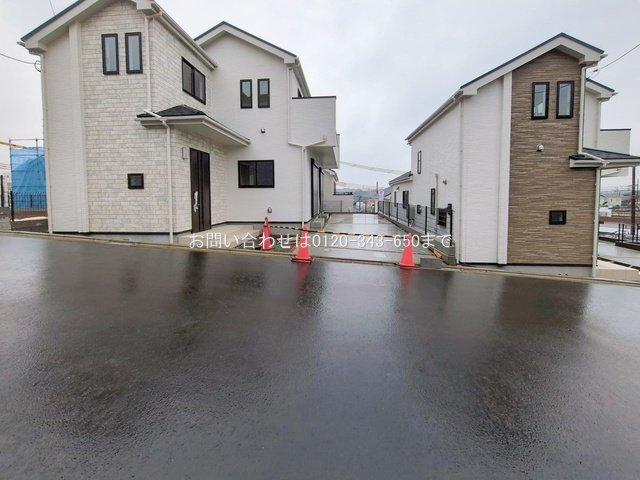 撮影日(2026-02-25 00:00:00)