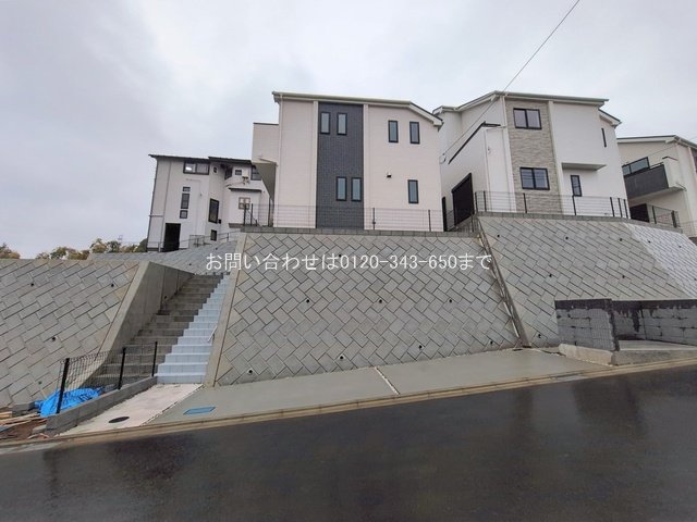 撮影日(2026-02-25 00:00:00)