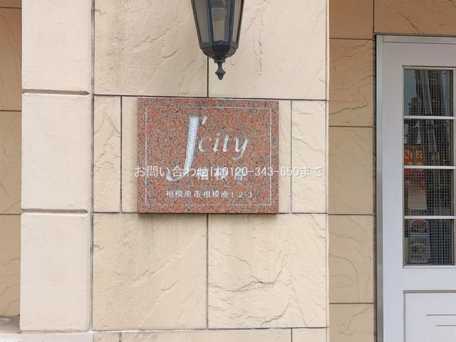 撮影日(2026-02-17 00:00:00)