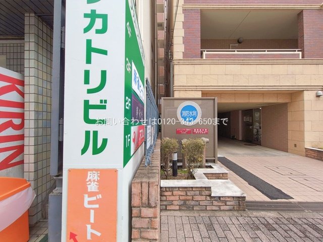 撮影日(2026-02-17 00:00:00)