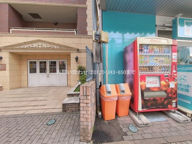 撮影日(2026-02-17 00:00:00)