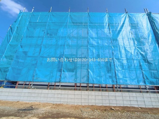 撮影日(2026-02-18 00:00:00)