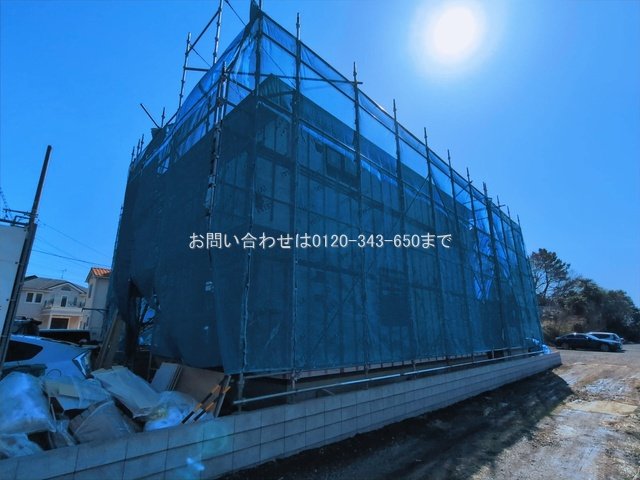 撮影日(2026-03-05 00:00:00)