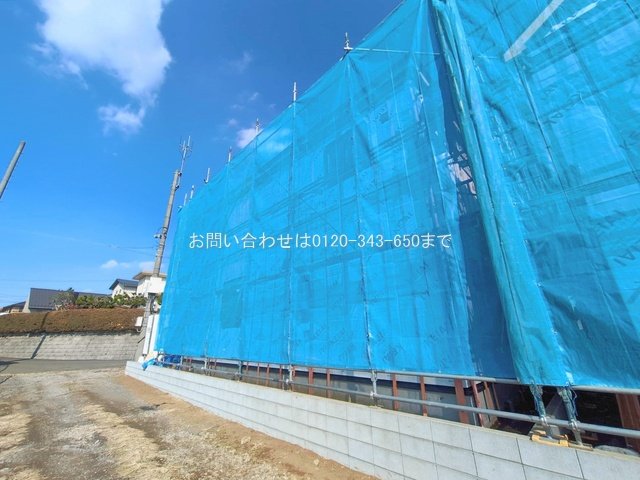 撮影日(2026-02-18 00:00:00)