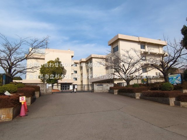 海老名市立杉本小学校 撮影日(2025-03-13) 600m