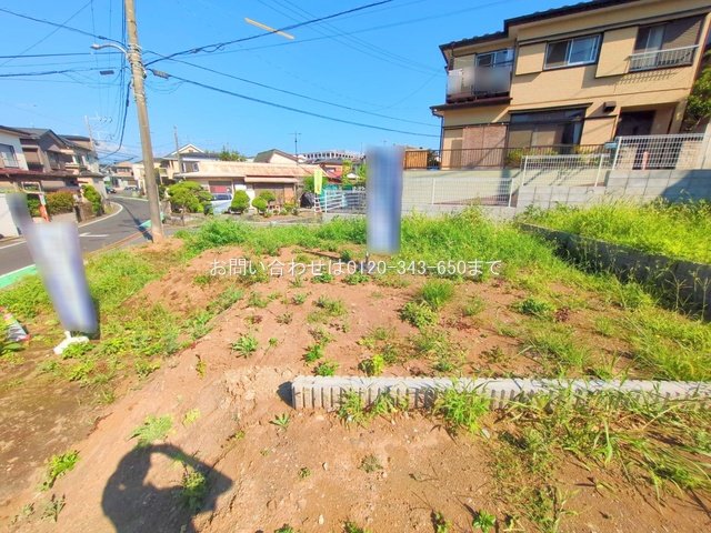 撮影日(2025-07-25 00:00:00)