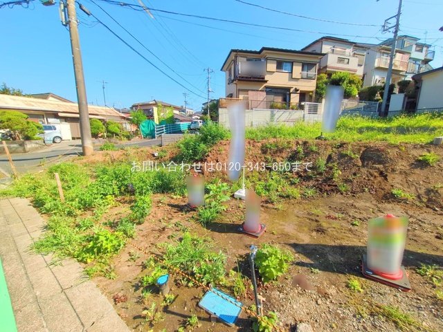 撮影日(2025-07-25 00:00:00)