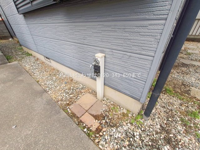 撮影日(2026-02-13 00:00:00)