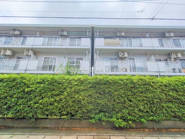 撮影日(2025-07-16 00:00:00)