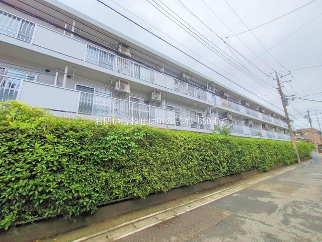 撮影日(2025-07-16 00:00:00)